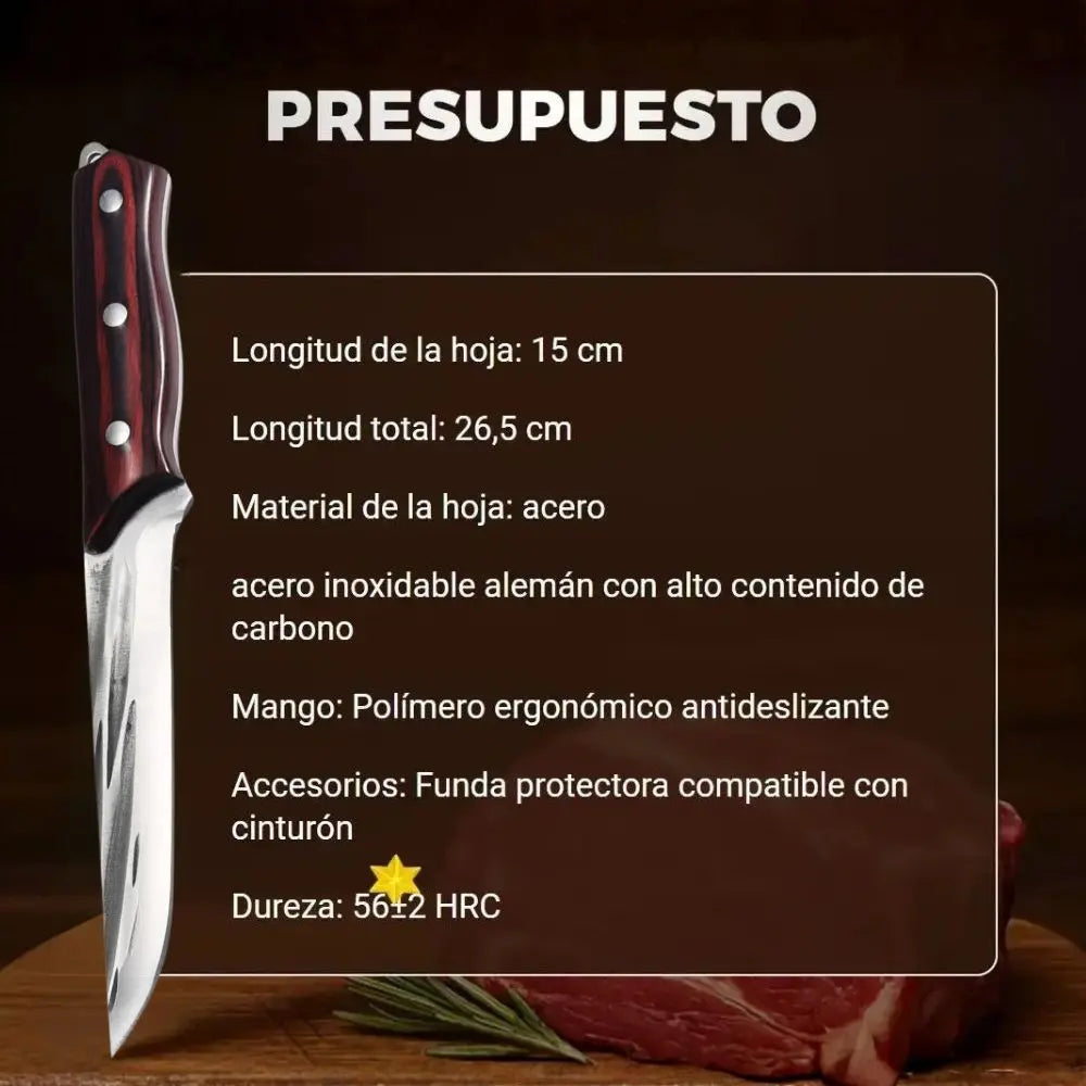 Encabezado