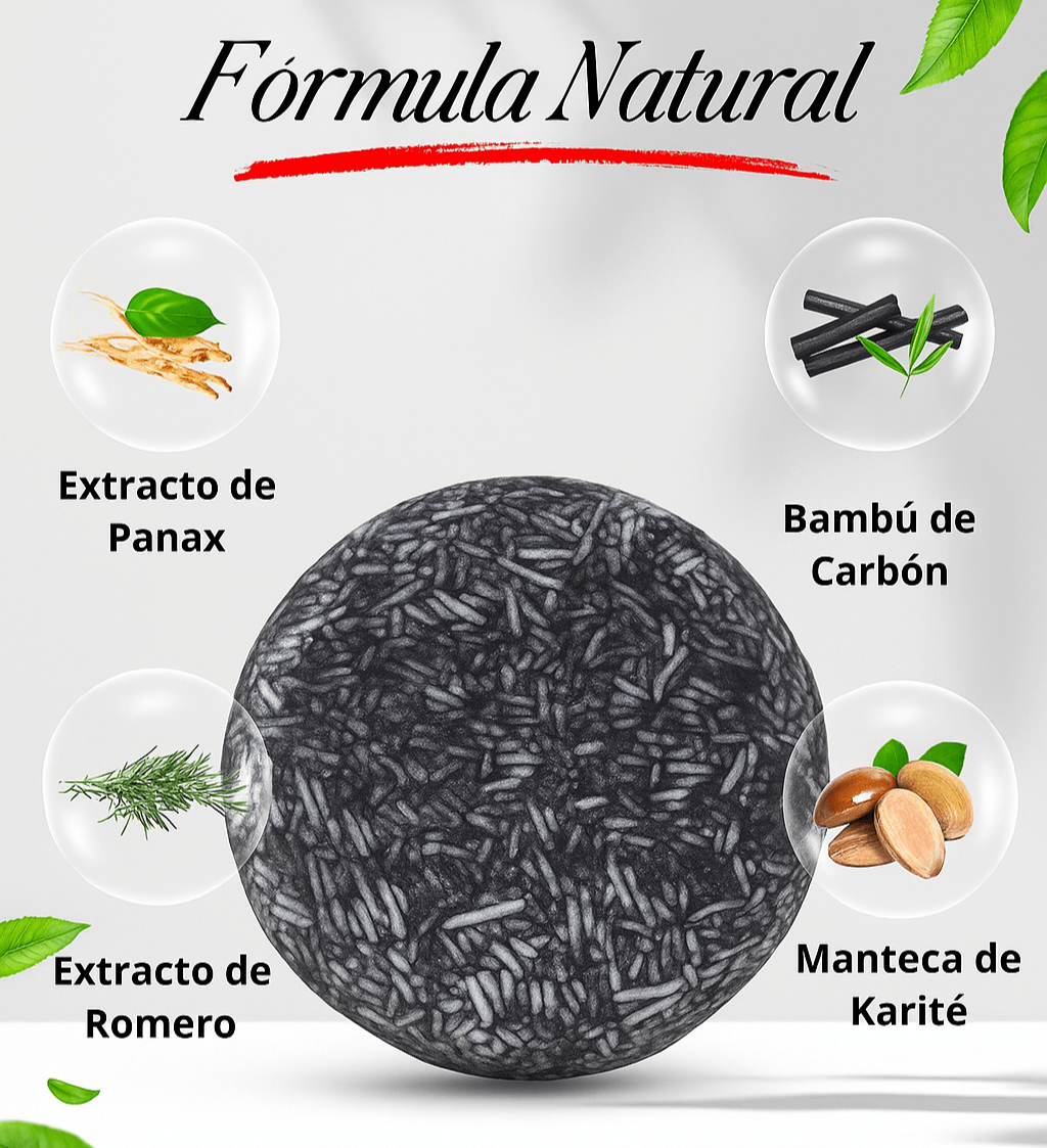 Encabezado